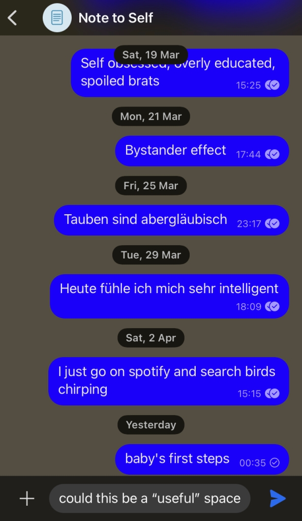 Notes to Self in a messaging app in english and german. 
The draft message says: "could this be a "useful" space
